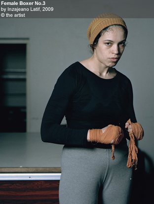 boxer.jpg