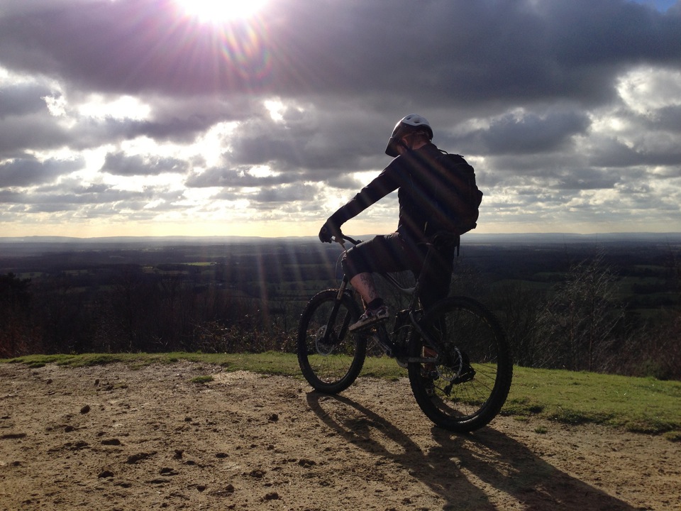 surrey hills sunshine